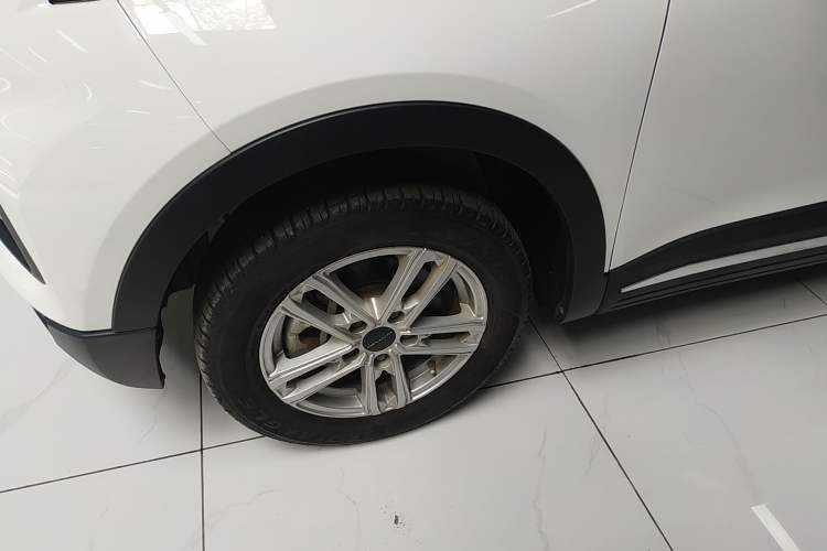 Used Dayun Yuehu 2022 300 Standard Edition
