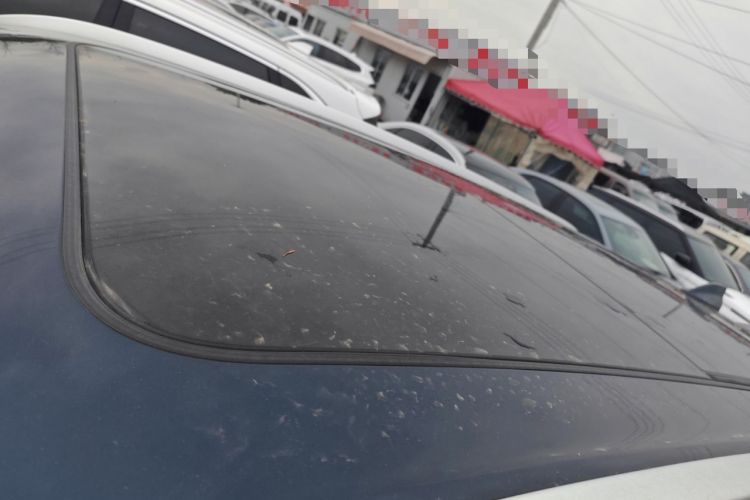 Used Wey Mocha 2021 2.0T Two-Wheel-Drive Ultra-Strong Version
