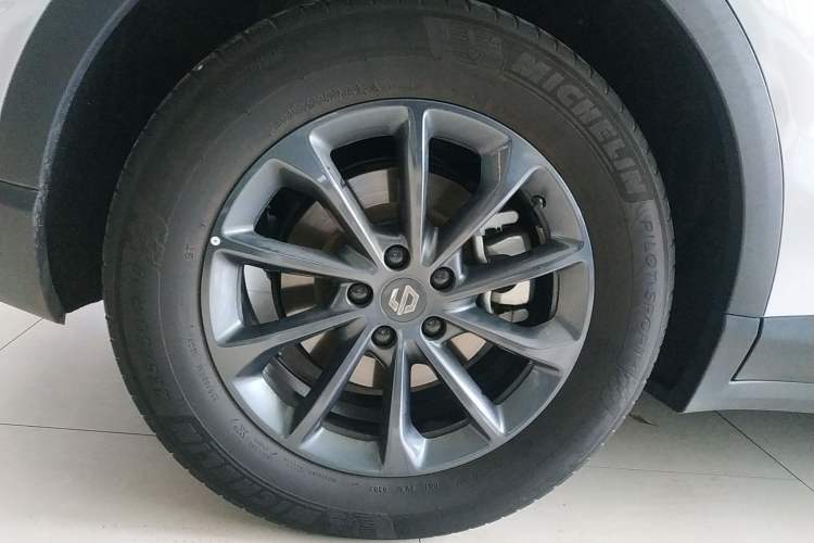 Used Leapmotor C11 2023 Pure Electric 500 Comfort Edition
