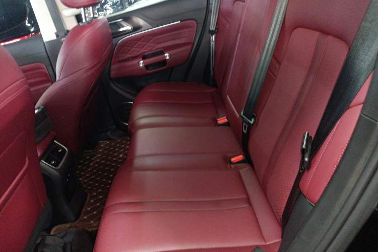 Used Tank 300 2024 2.0T Crosser