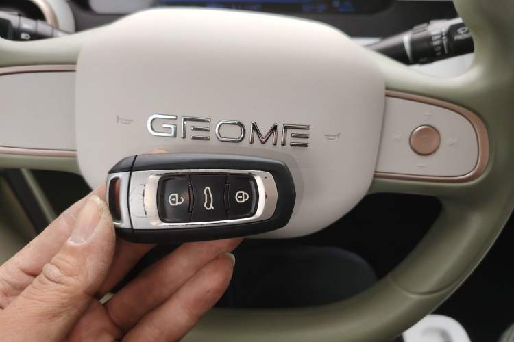 Used  Panda 2025 210km Panda Rider
