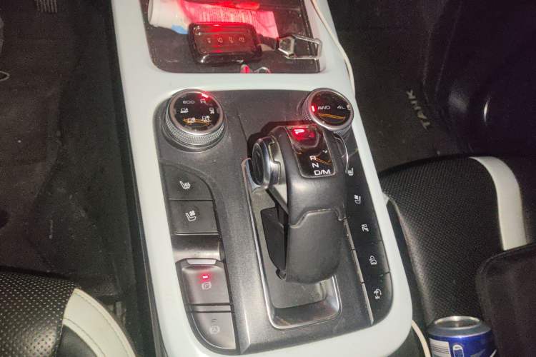 Used Tank 300 2021 City Edition 2.0T—Truly Stylish
