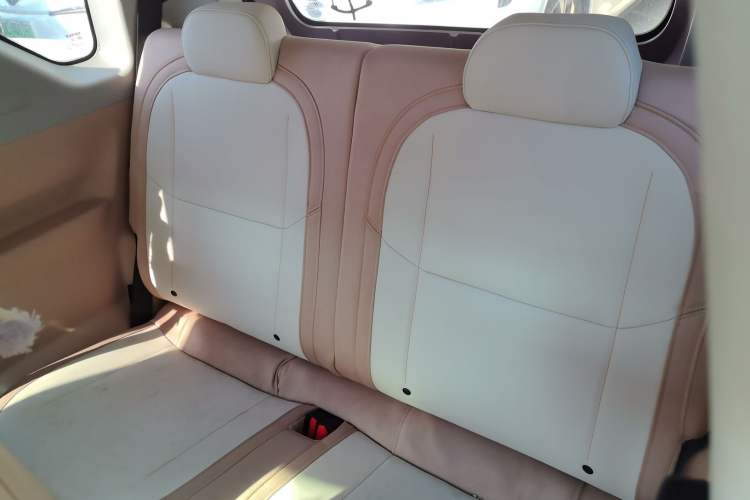 Used  Panda 2023 Panda Mini 200km Endurance Bear