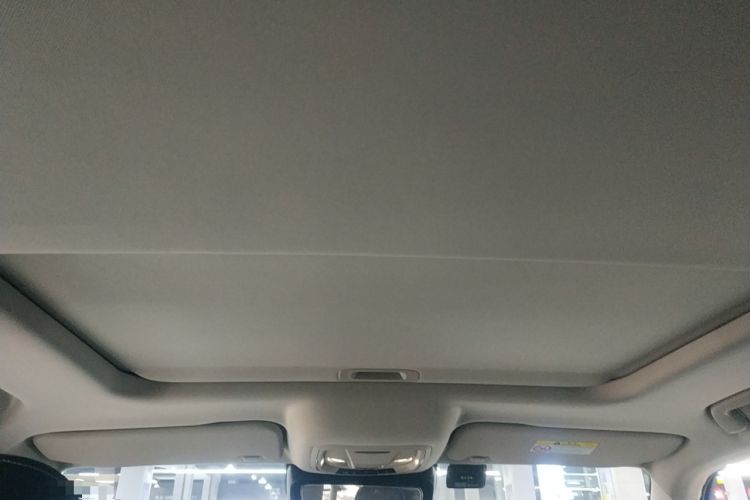 Used Tank 300 2021 Off-Road Edition 2.0T Conqueror