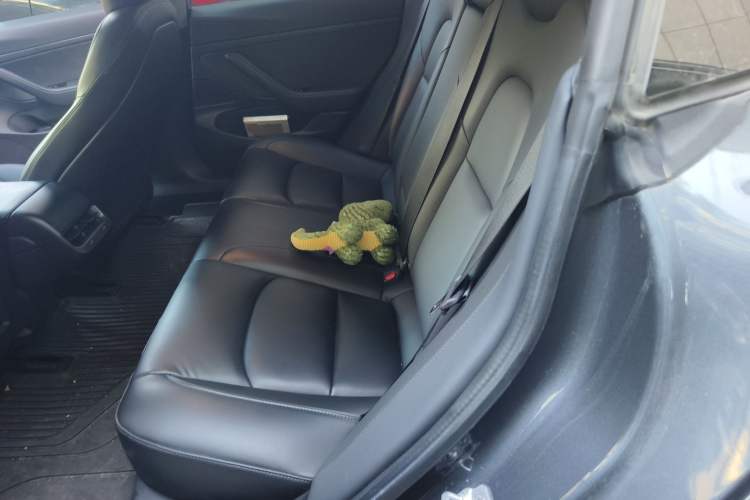 Used Tesla Model 3 2019 Standard Range Rear-Drive Upgraded Version