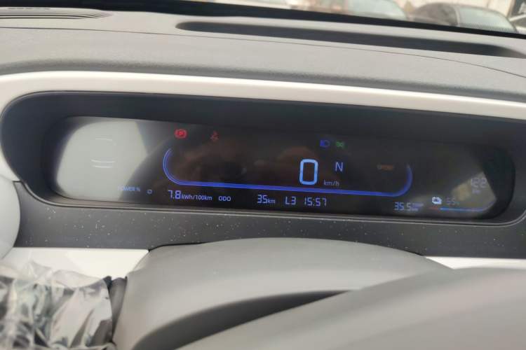 Used  Panda 2025 210 km – Yuanqi Bear