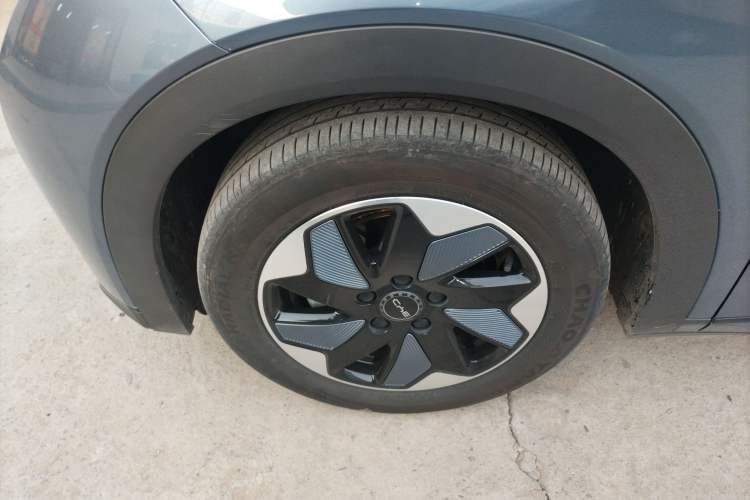 Used BYD Dolphin 2024 Honor Edition 420km Freedom Version
