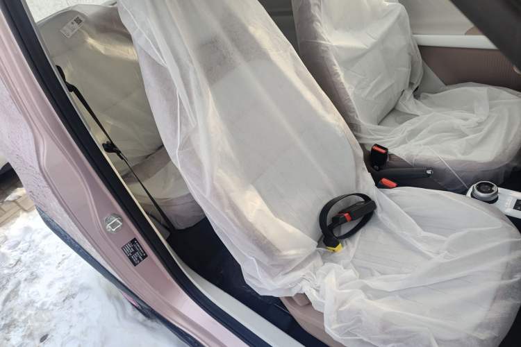 Used  Panda 2025 210km Panda Kart