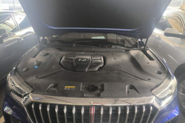 Used Hongqi HS5 2019 2.0T Smart Connect Flagship Edition
