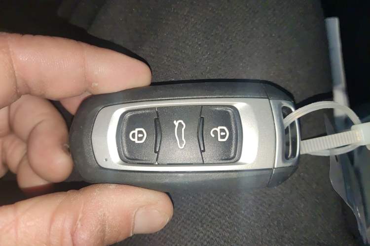 Used  Panda 2024 Panda Mini 200km Endurance Bear