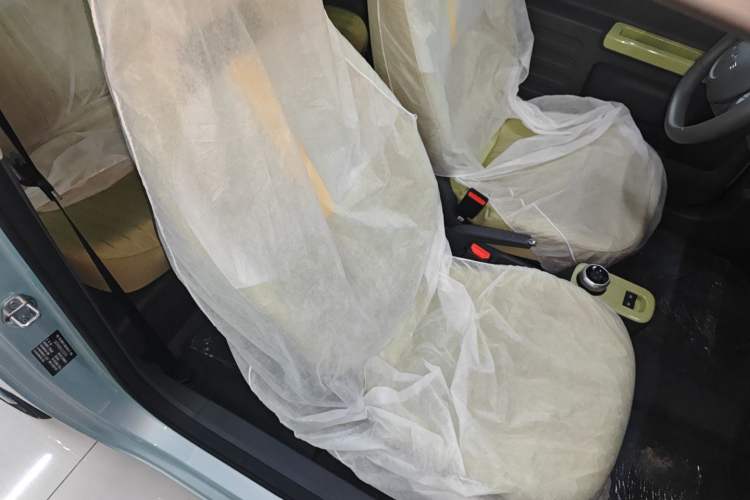 Used  Panda 2024 Panda Mini 200km Endurance Bear
