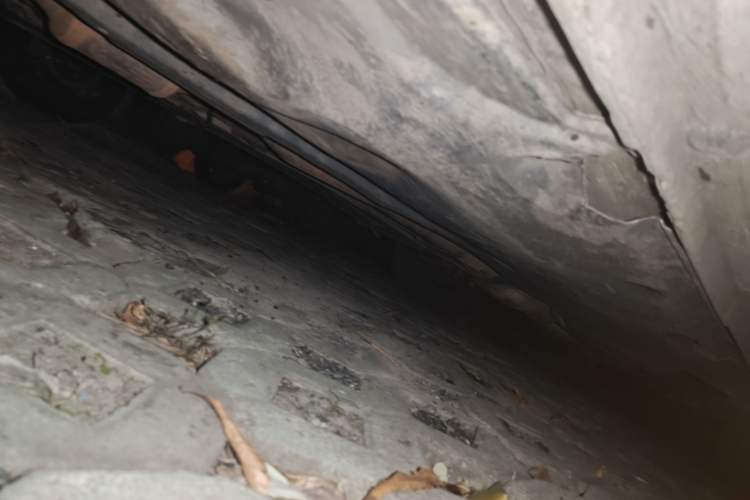 Used Volkswagen Tiguan 2017 300TSI Automatic Two-Wheel Drive Silk Road Comfort Edition
