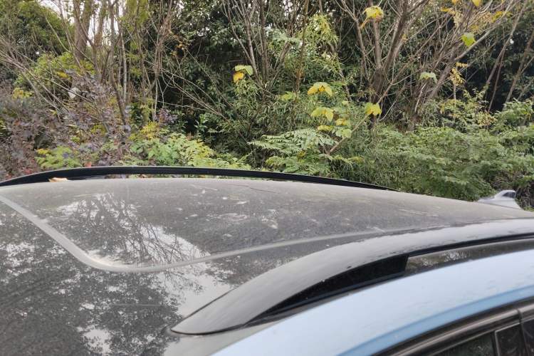 Used Volkswagen Tiguan L 2024 PRO 380TSI Four-Wheel Drive R-Line Prestige Edition
