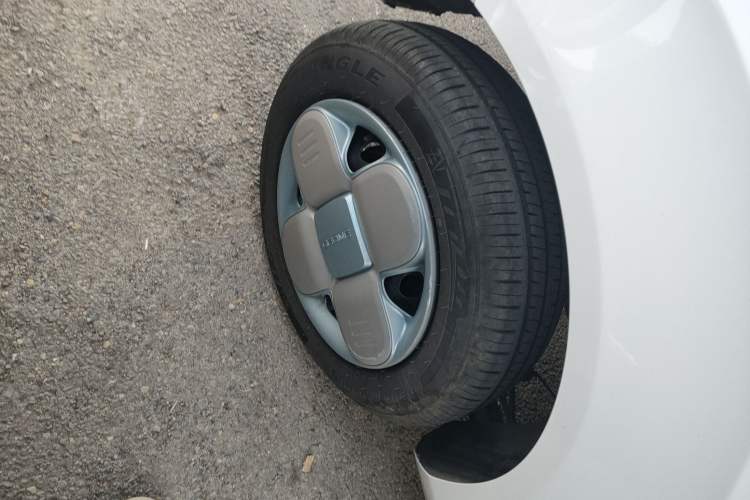 Used  Panda 2024 Panda Mini 200km Longteng PRO Edition
