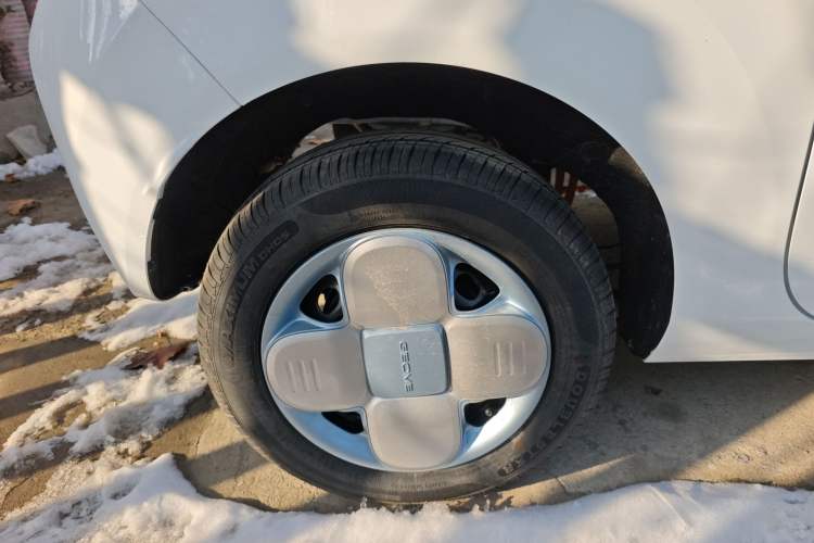 Used  Panda 2024 Panda Mini 200km Endurance Bear