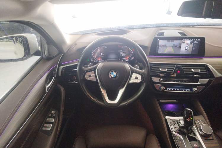 Used BMW 5 Series 2020 530Li Luxury Edition Premium Package