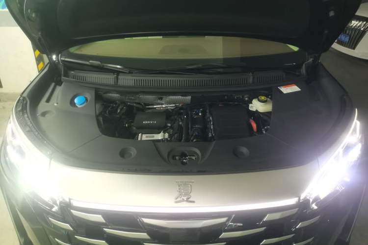 Used BYD Xia 2025 DM-i 1.5T 100km Leading Model
