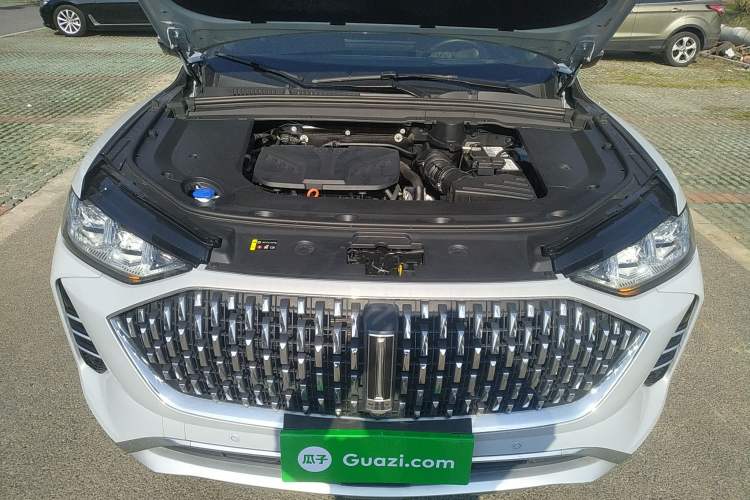 Used Wey Mocha 2021 2.0T Two-Wheel-Drive Premium Edition
