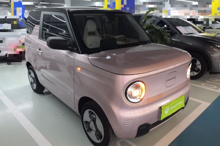 Used  Panda 2023 Panda Mini 200km Dynamic Bear