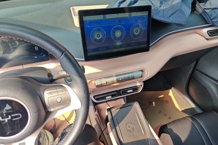 Used BYD Seagull 2024 Honor Edition 305km Freedom Version
