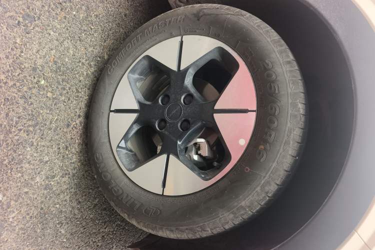 Used  Geome 2025 410 km Free Version