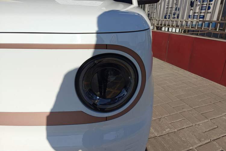 Used  Panda 2025 210 km – Yuanqi Bear