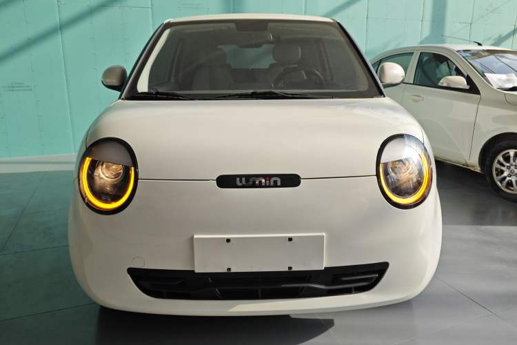 Used  Lumin 2023 205km Xiangqin Version
