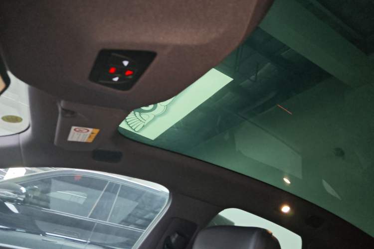 Used  06 2025 Ultra Pure Electric Edition
