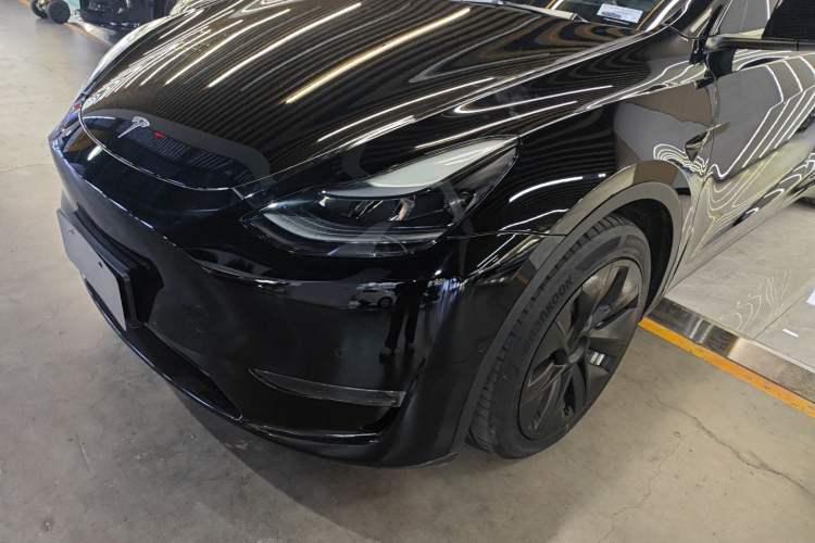 Used Tesla Model Y 2021 Standard Range Rear-Wheel Drive Version
