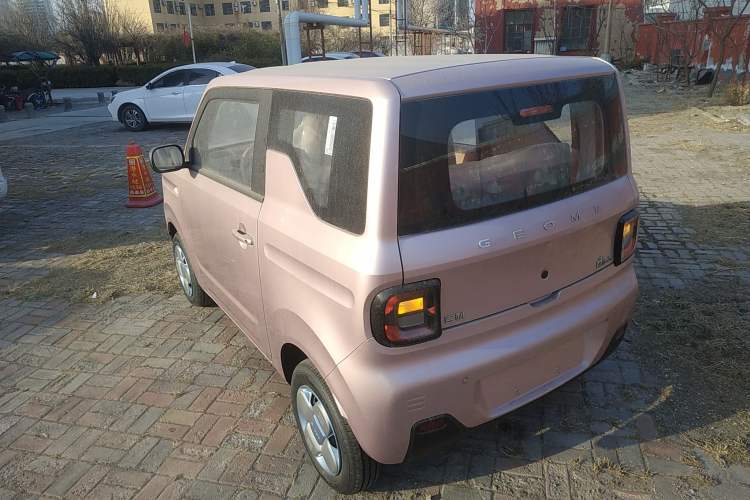 Used  Panda 2024 Panda Mini 200km Endurance Bear