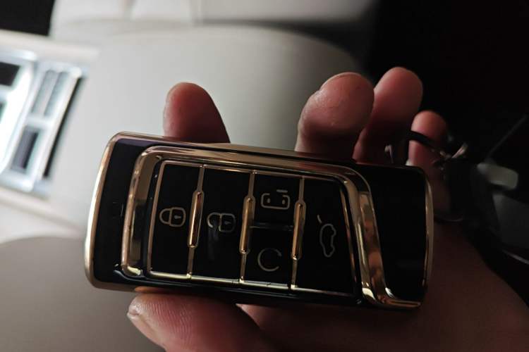 Used GAC Trumpchi GS8 2017 320T Two-Wheel Drive Luxury Smart Connectivity Version (7 Seats)
