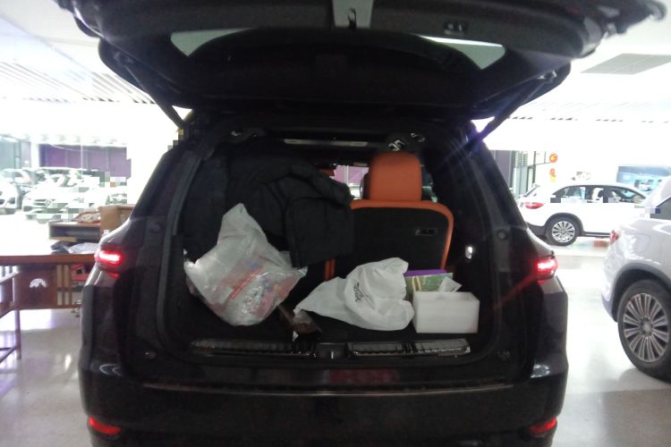 Used Li Auto L9 2024 Ultra Model