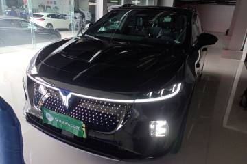 Used VOYAH COURAGE 2024 Four-Wheel Drive Global Edition