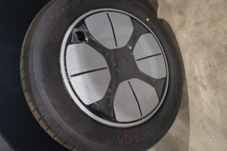 Used  Geome 2025 310km Youth Edition