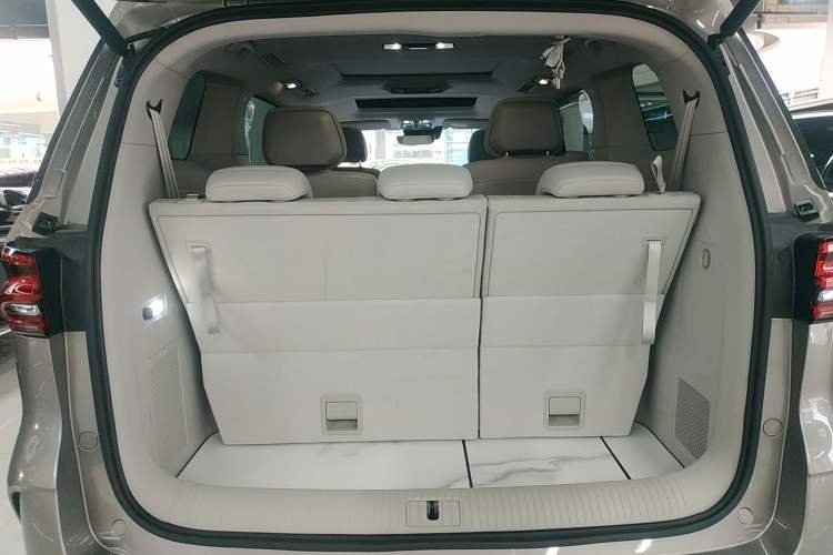 Used Roewe iMAX8 New Energy 2025 1.5T DMH Lu Zun Deluxe Edition
