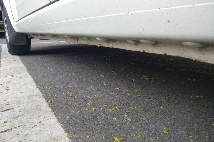 Used  iEV6E 2019 Youth Edition iEV6E Luxury Model
