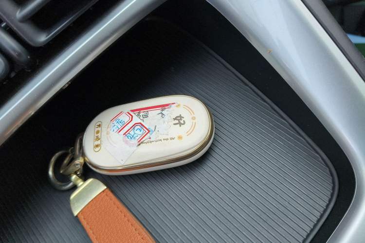 Used  Geome 2025 310km Dream Edition
