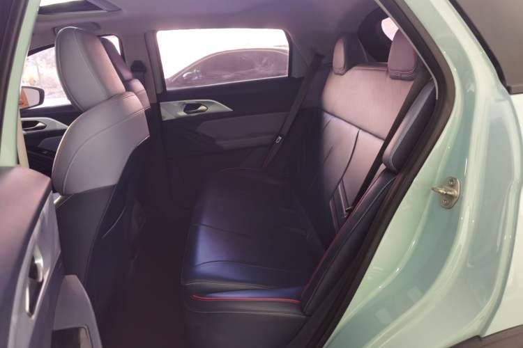 Used Geometry E Firefly 2022 401 km Linglong Tiger 4 Seats
