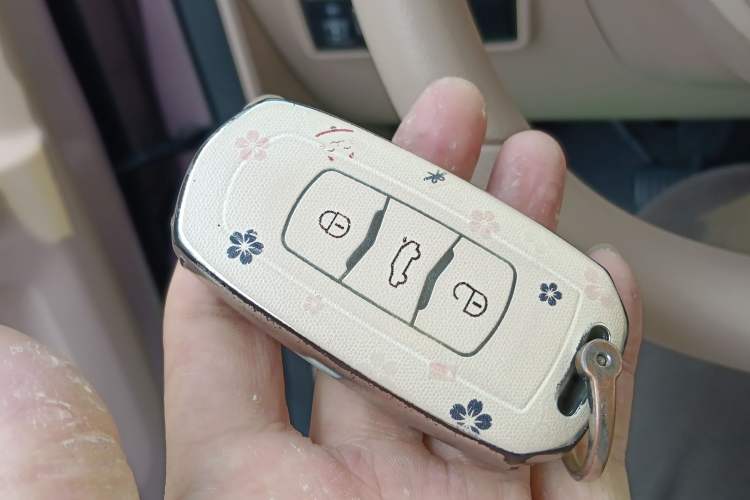 Used  Panda 2023 Panda Mini 200km Endurance Bear
