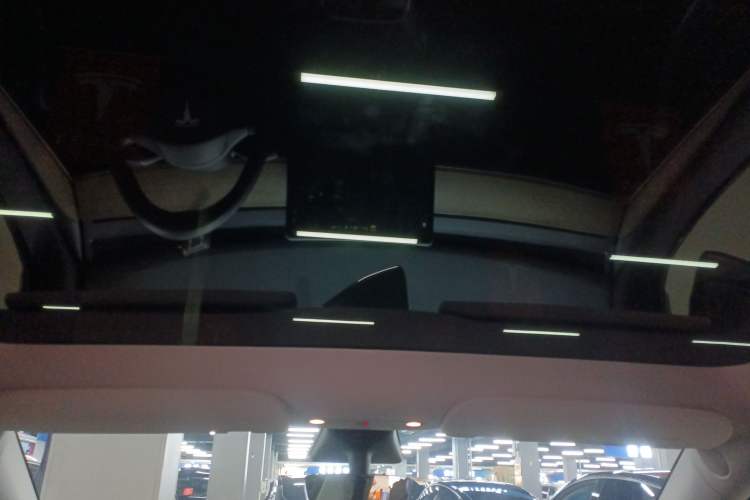 Used Tesla Model Y 2021 Standard Range Rear-Wheel Drive Version
