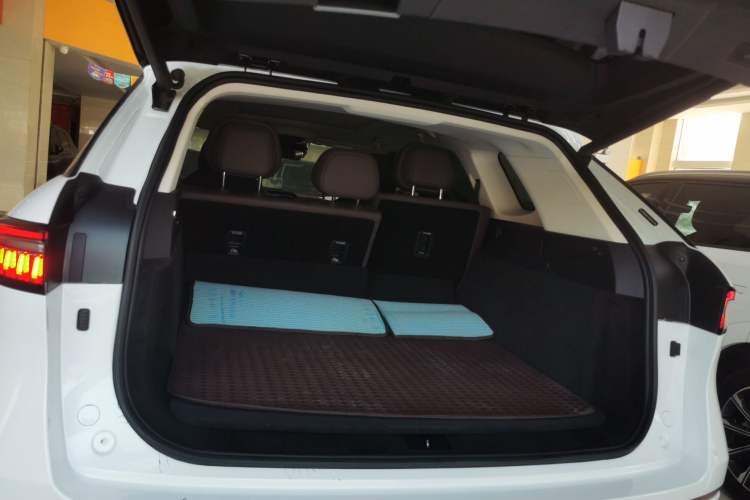 Used Chery Fengyun T10 2024 210 Luxury Edition