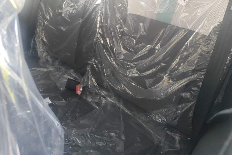 Used  Lumin 2025 205 km Xiangqin Version
