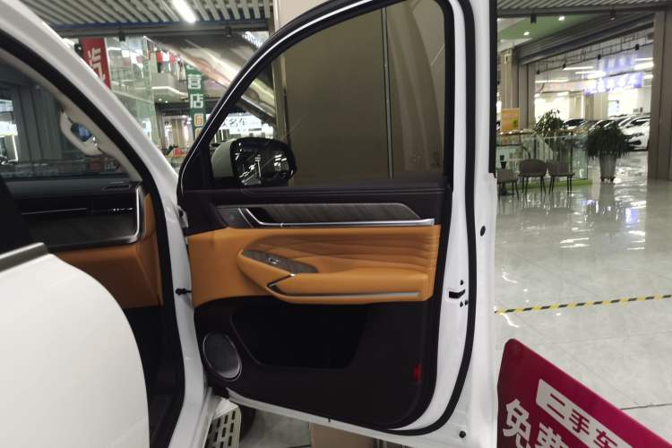 Used Tank 500 New Energy 2025 Hi4-Z