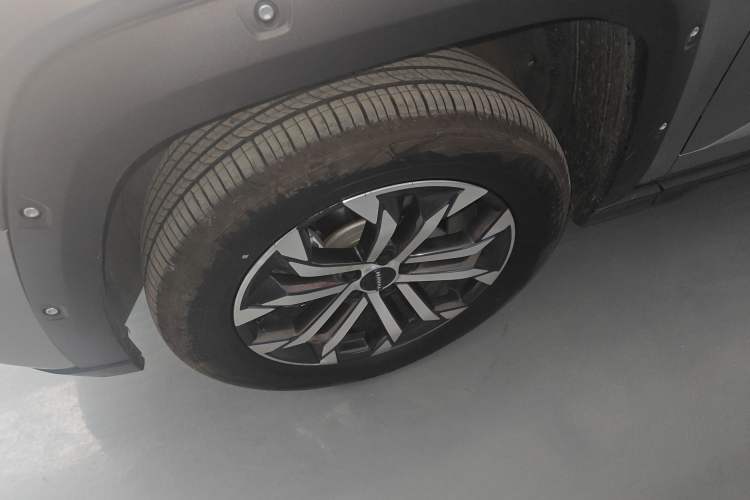 Used Haval H Dog 2023 2.0T Two-Wheel Drive Trendy Outdoor Edition
