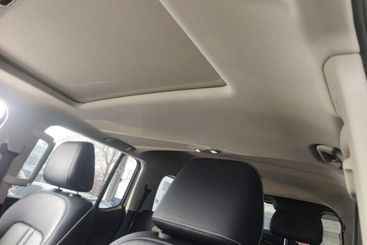 Used Tank 300 2024 2.0T Conqueror