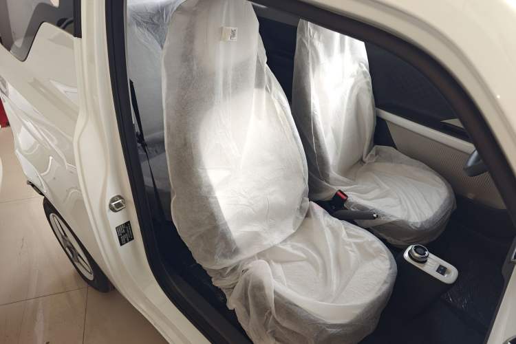 Used  Panda 2025 210 km – Yuanqi Bear