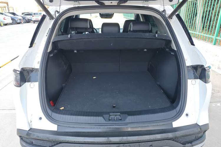 Used BYD Sealion 05 DM-i 2025 DM-i Smart Drive 115KM Flagship Model
