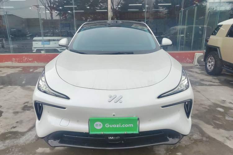 Used  LS6 2023 Max Long-Range Version