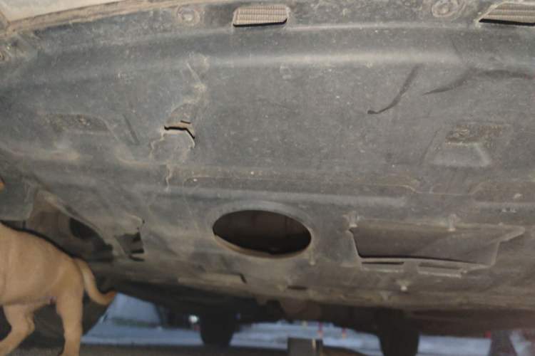 Used Soueast DX7 2016 1.5T Manual Triumph Edition
