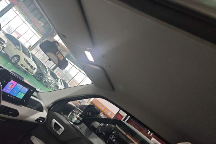 Used  Panda 2024 200km Panda Kart
